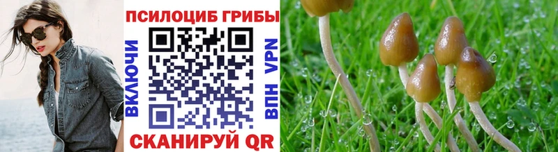Псилоцибиновые грибы мицелий  Купить  Курчатов 