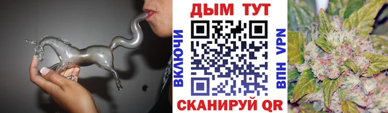 Купить где  Курчатов  Шишки марихуана гибрид 